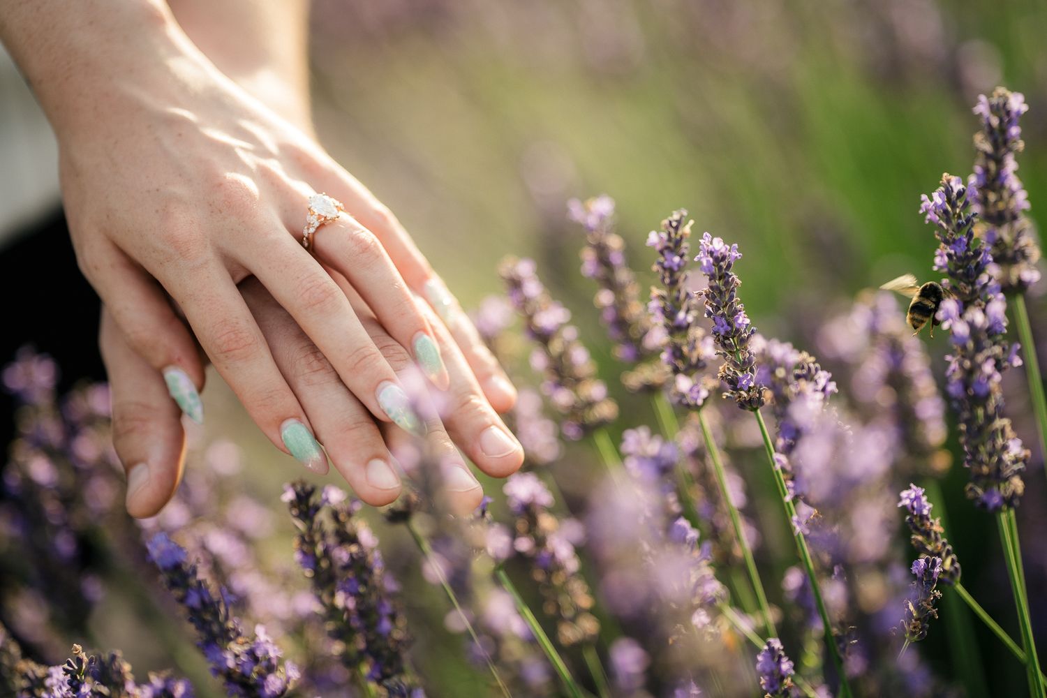 portrait,wedding photographer, surprise proposal , family portrait
