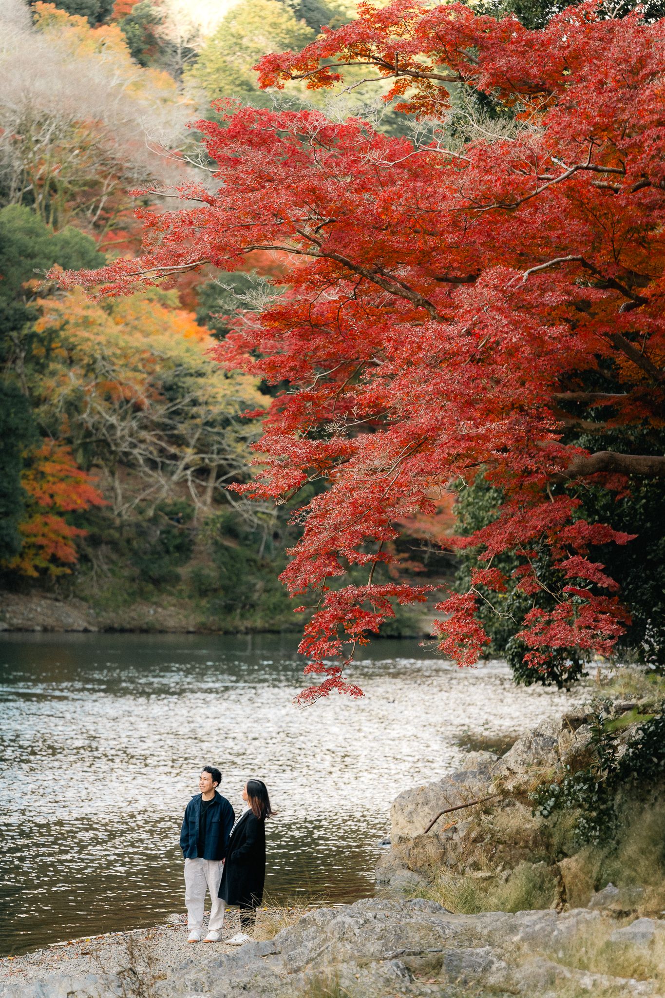 portrait,wedding photographer, surprise proposal , family portrait