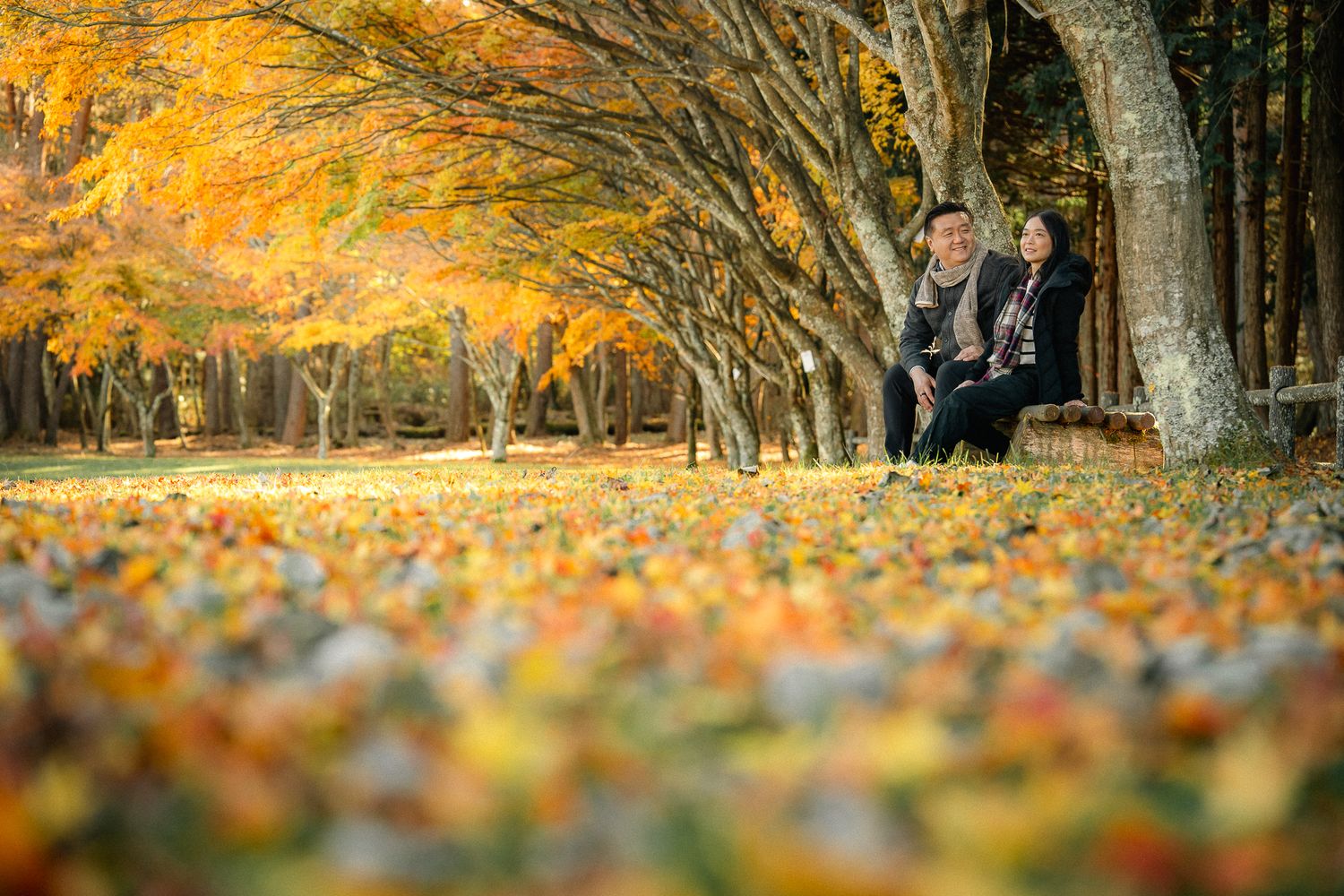 portrait,wedding photographer, surprise proposal , family portrait