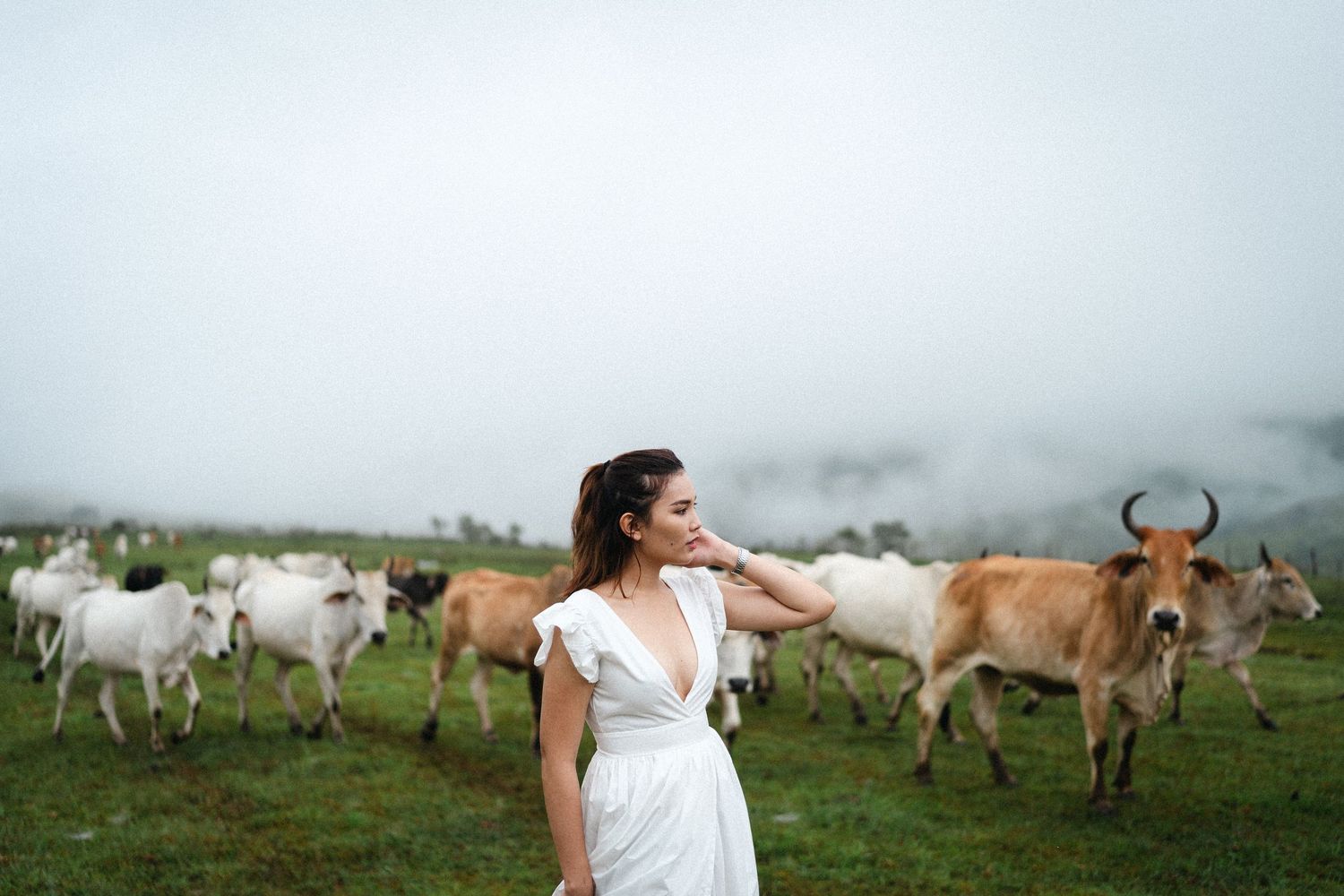 portrait,wedding photographer, surprise proposal , family portrait