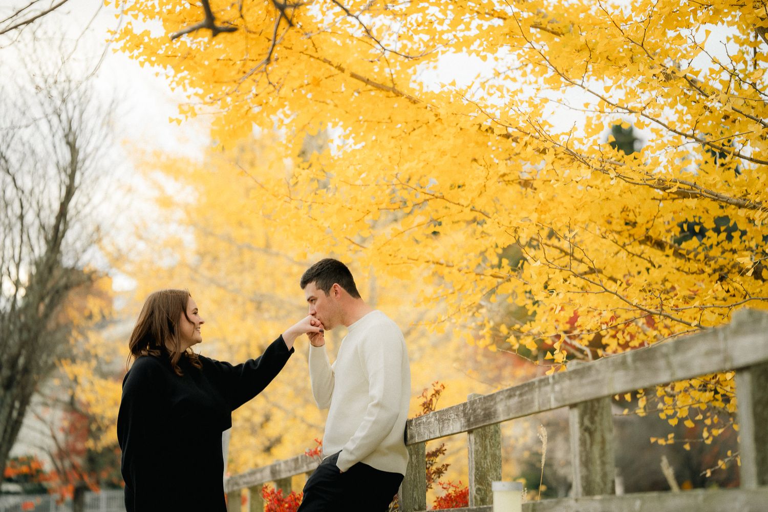 portrait,wedding photographer, surprise proposal , family portrait