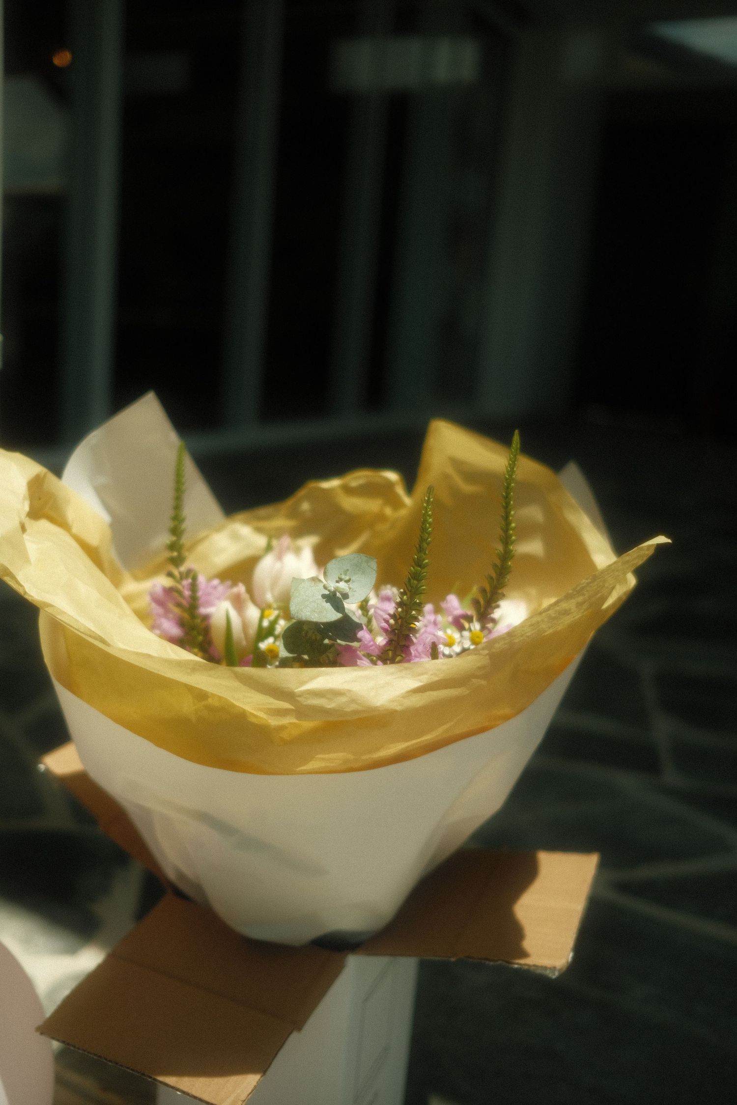 flower, radiating pure happiness, light and shadow, aesthetic vibes,