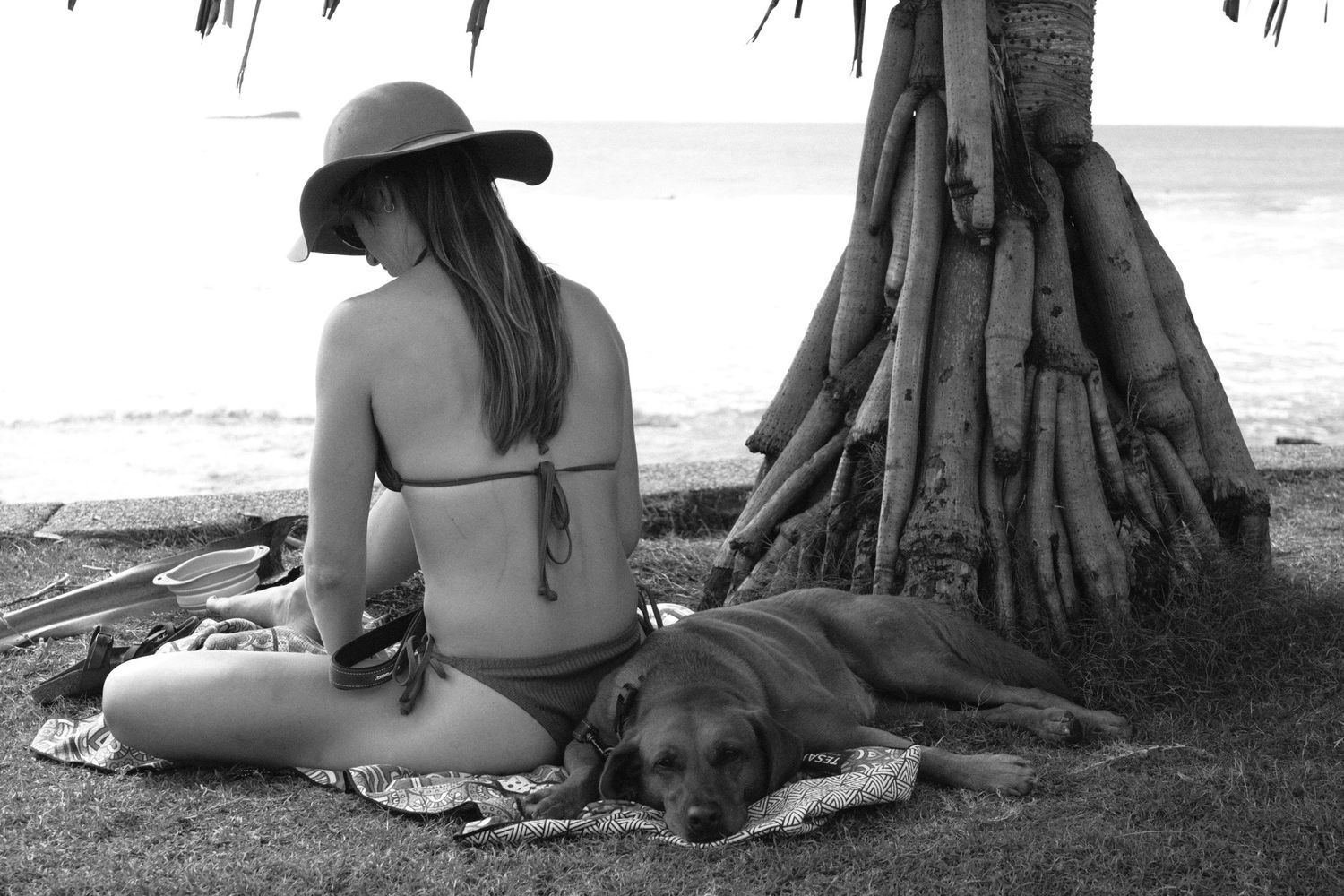 Surfing photography, sunset surf, ocean vibes, surfer lifestyle, adventure photography, surfing action, dog, bikini, ocean adventure