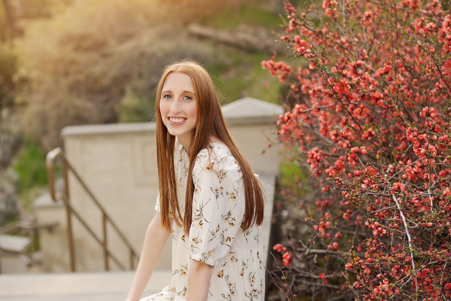 A spring portrait featuring blossoming red berries and steps in warm sunlight.