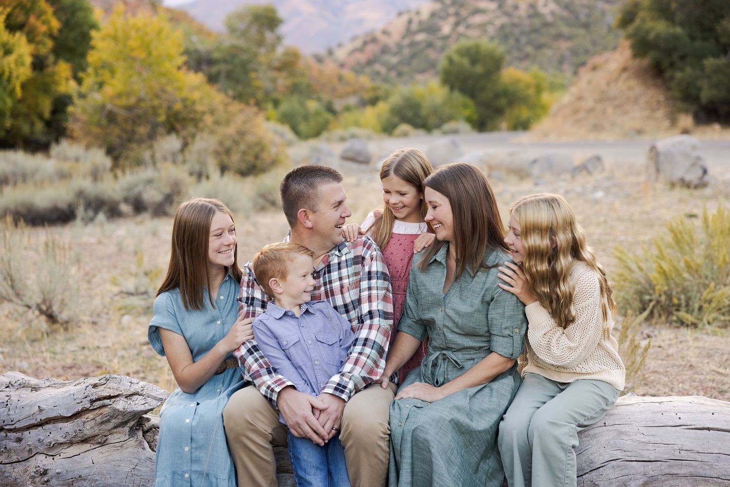 Family of six posing outdoors on a log in a scenic meadow, dressed in coordinating teal and plaid outfits.
