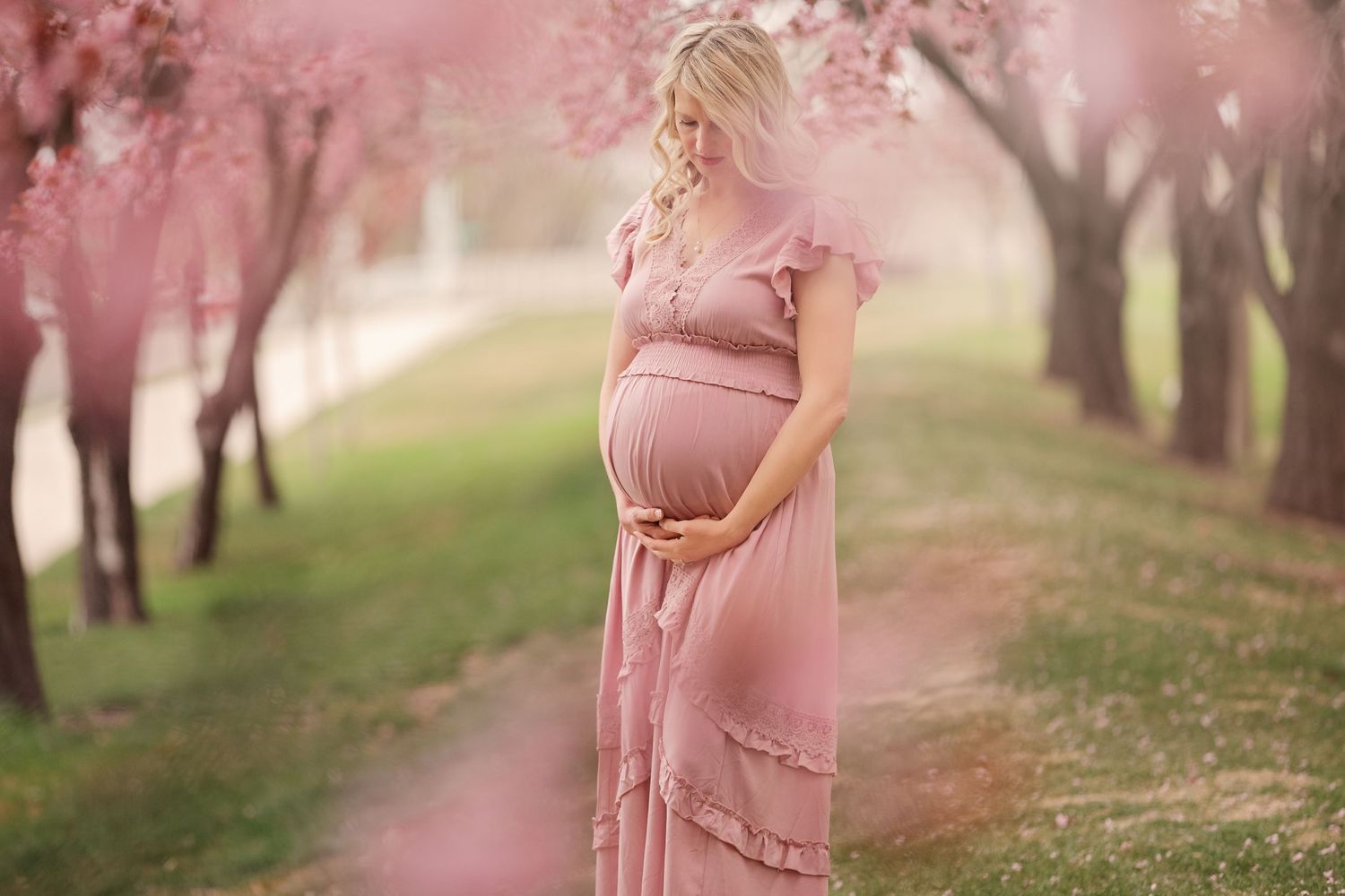 A maternity photo of a woman in a pink dress under blooming cherry blossom trees.