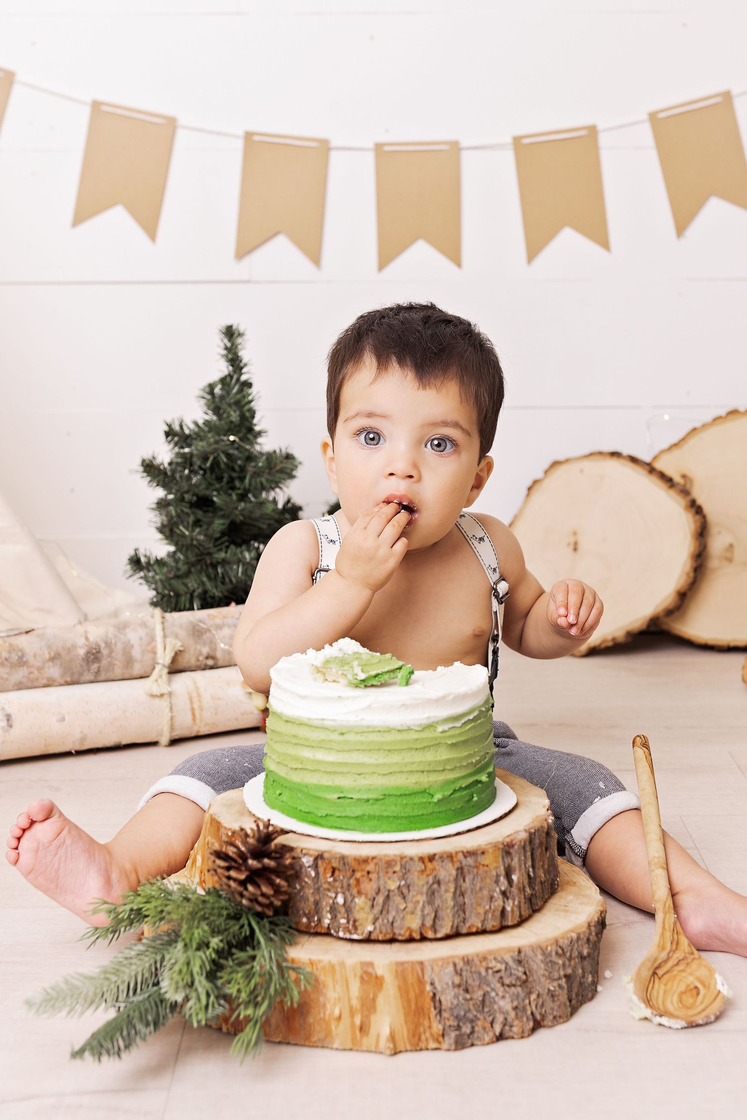 Cake smash photo setup with green ombre cake on wood slices, pine tree and banner decorations against white backdrop.
