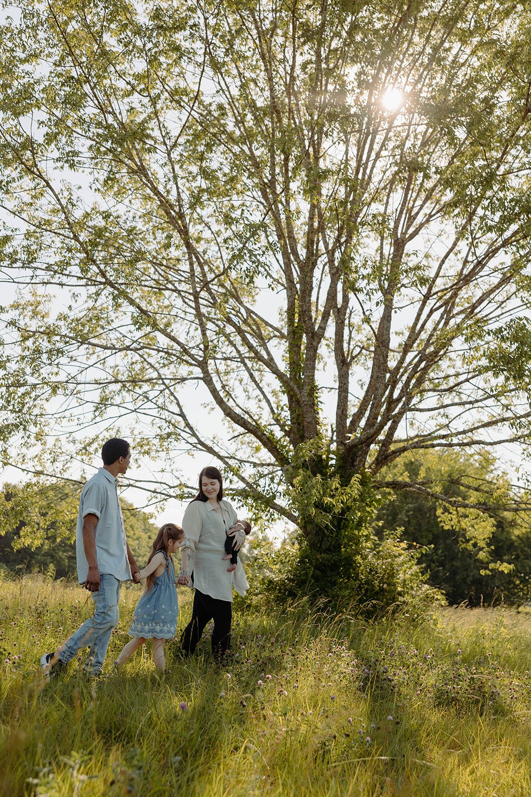 Silhouetted family walking together in sunlit meadow beneath large tree.