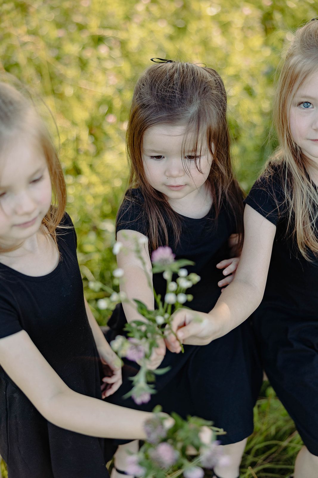 Three young girls in black dresses examining wildflowers in a meadow.