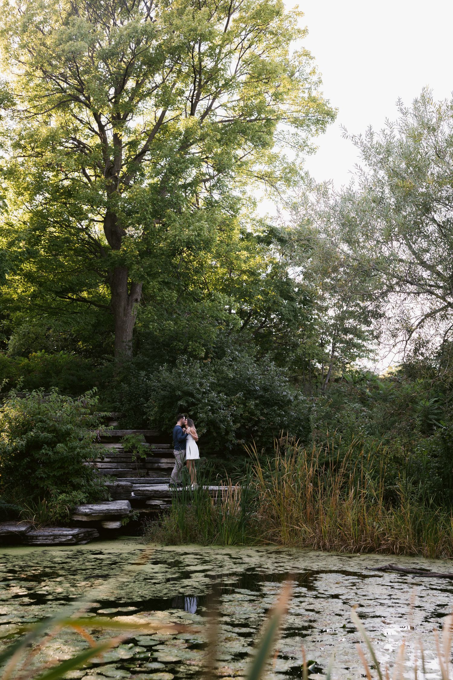 A serene pond with lily pads surrounded by lush trees in a tranquil garden setting at dusk.