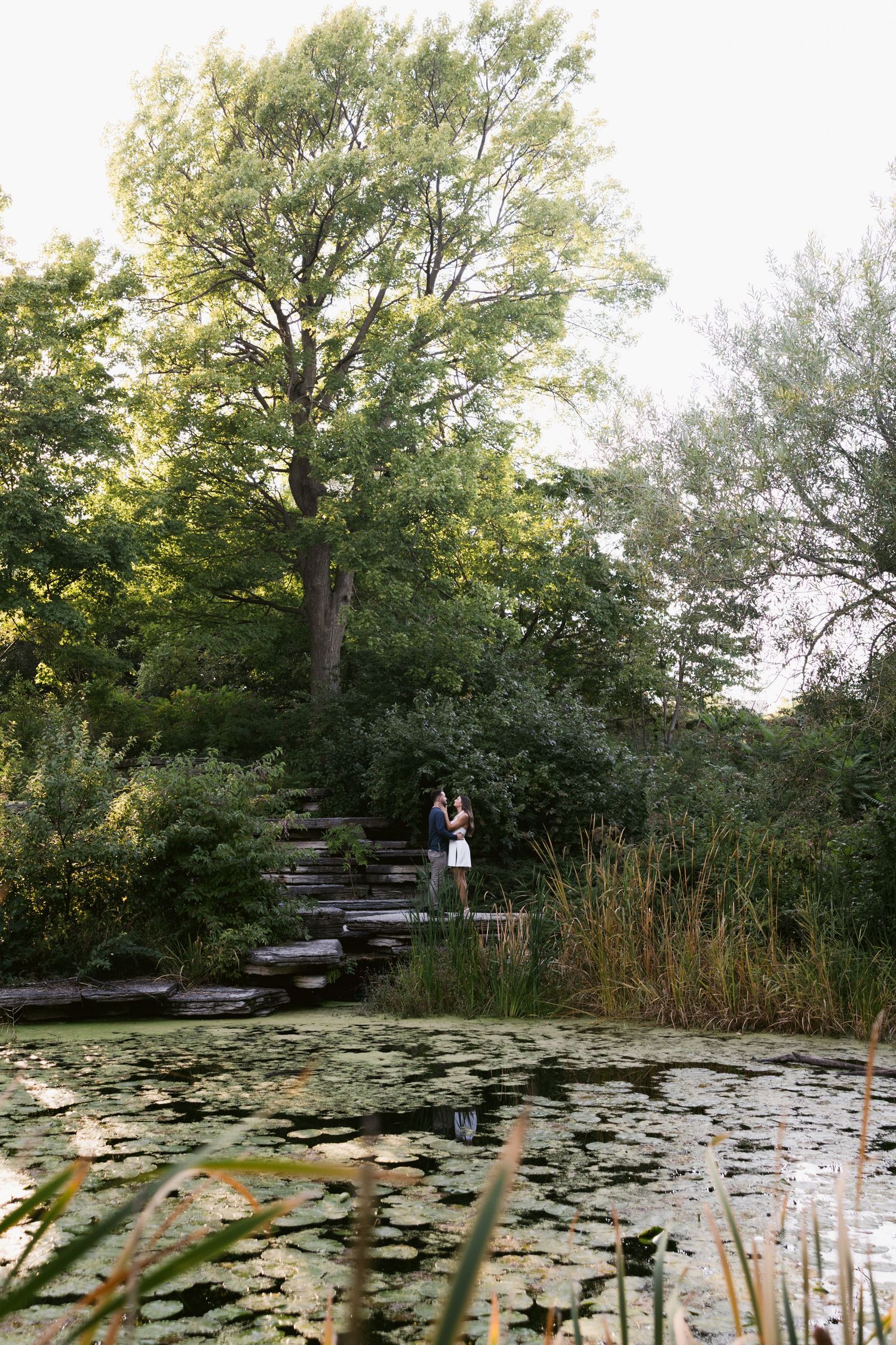 A serene lily pond with flowering pads surrounded by lush green trees.