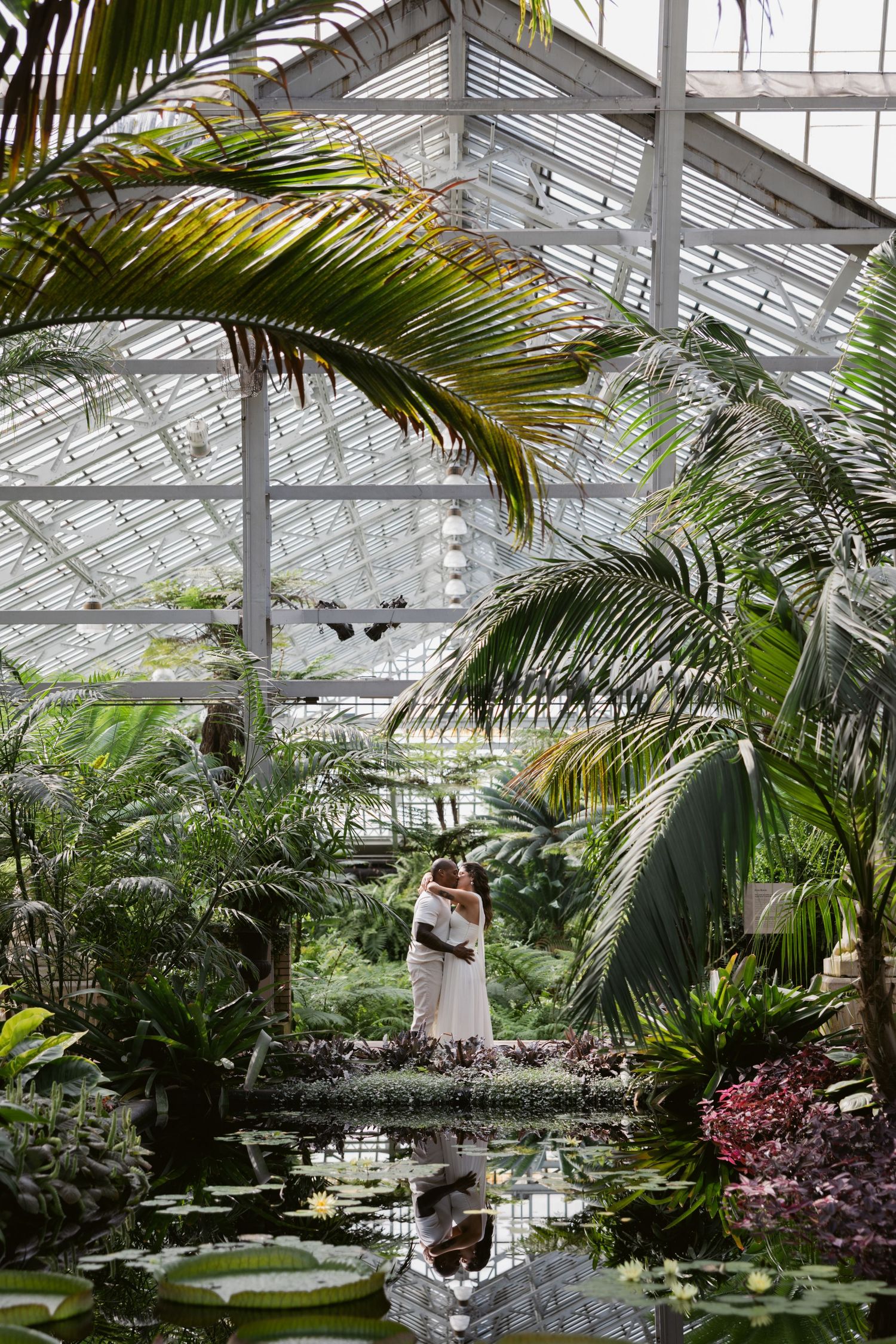 Tropical greenhouse interior with reflecting pool and lush palm fronds beneath glass ceiling architecture.