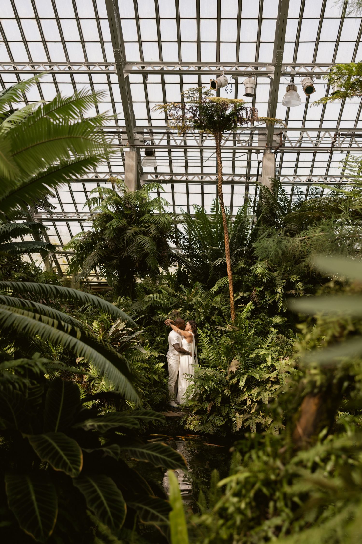 Sunlight streams through a greenhouse roof illuminating tropical plants and palms in a botanical garden.