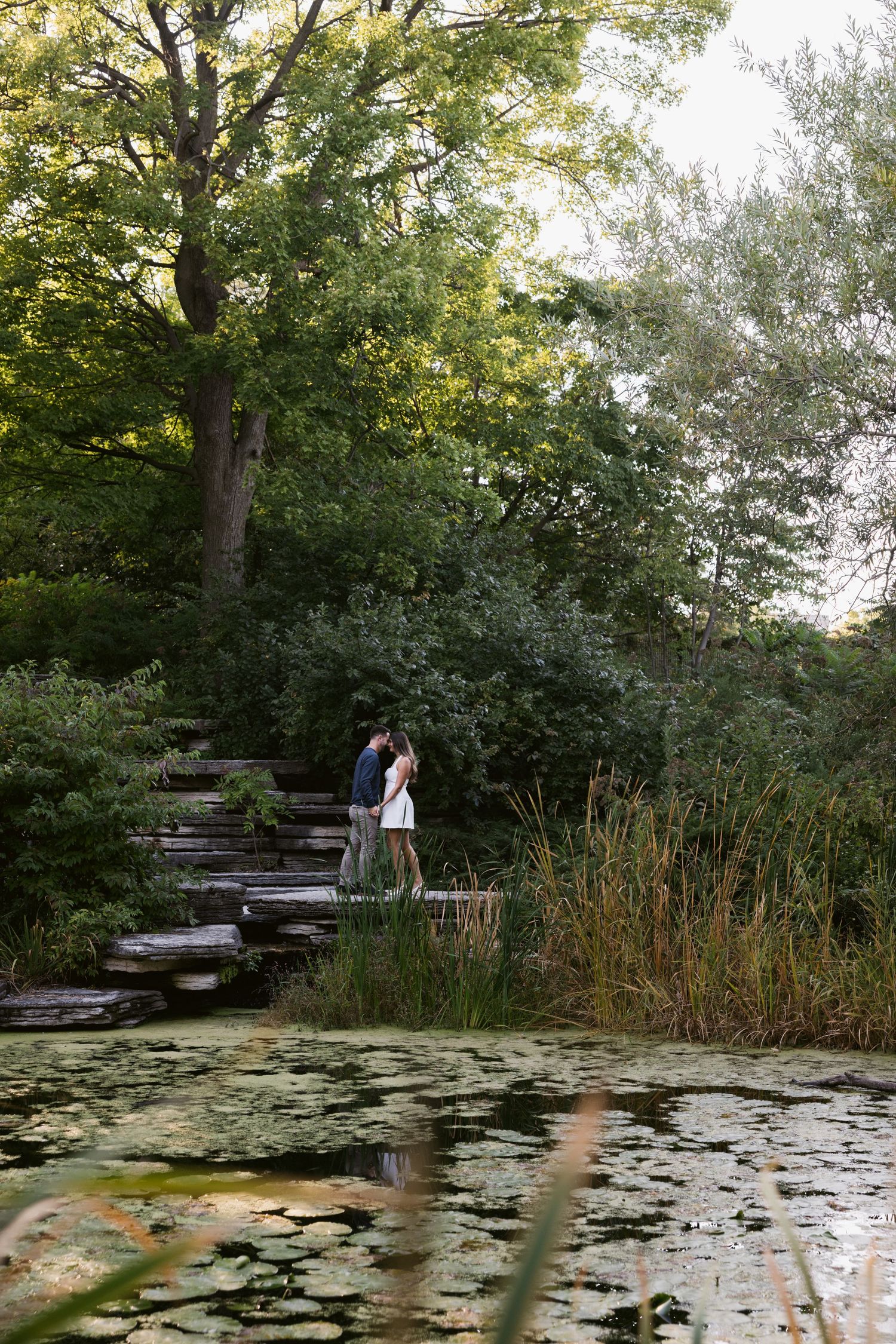 A serene lily pond surrounded by lush greenery and trees with a wooden walkway in a park setting at golden hour.