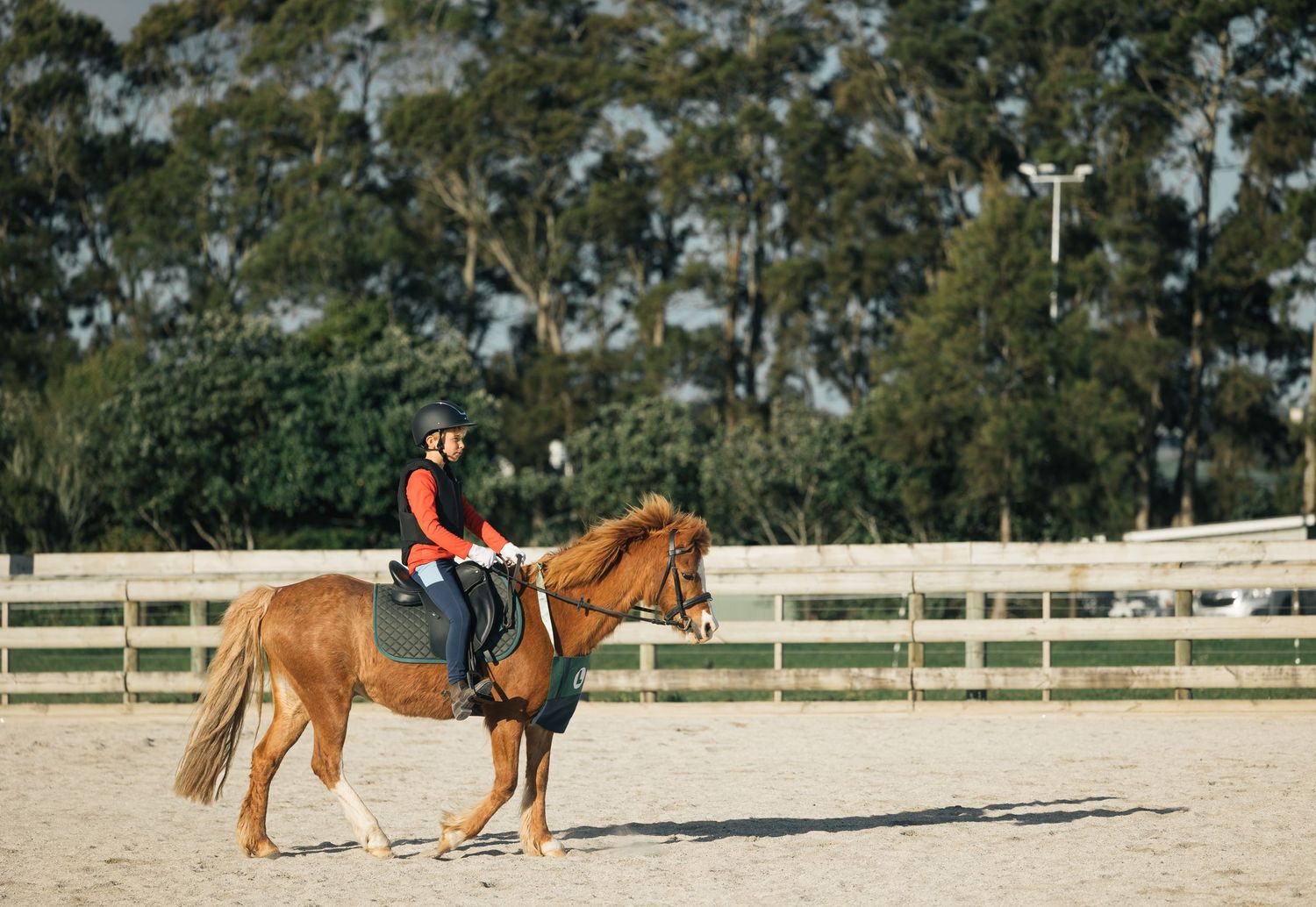 Young rider in red jacket on a chestnut horse practicing in a fenced equestrian arena.