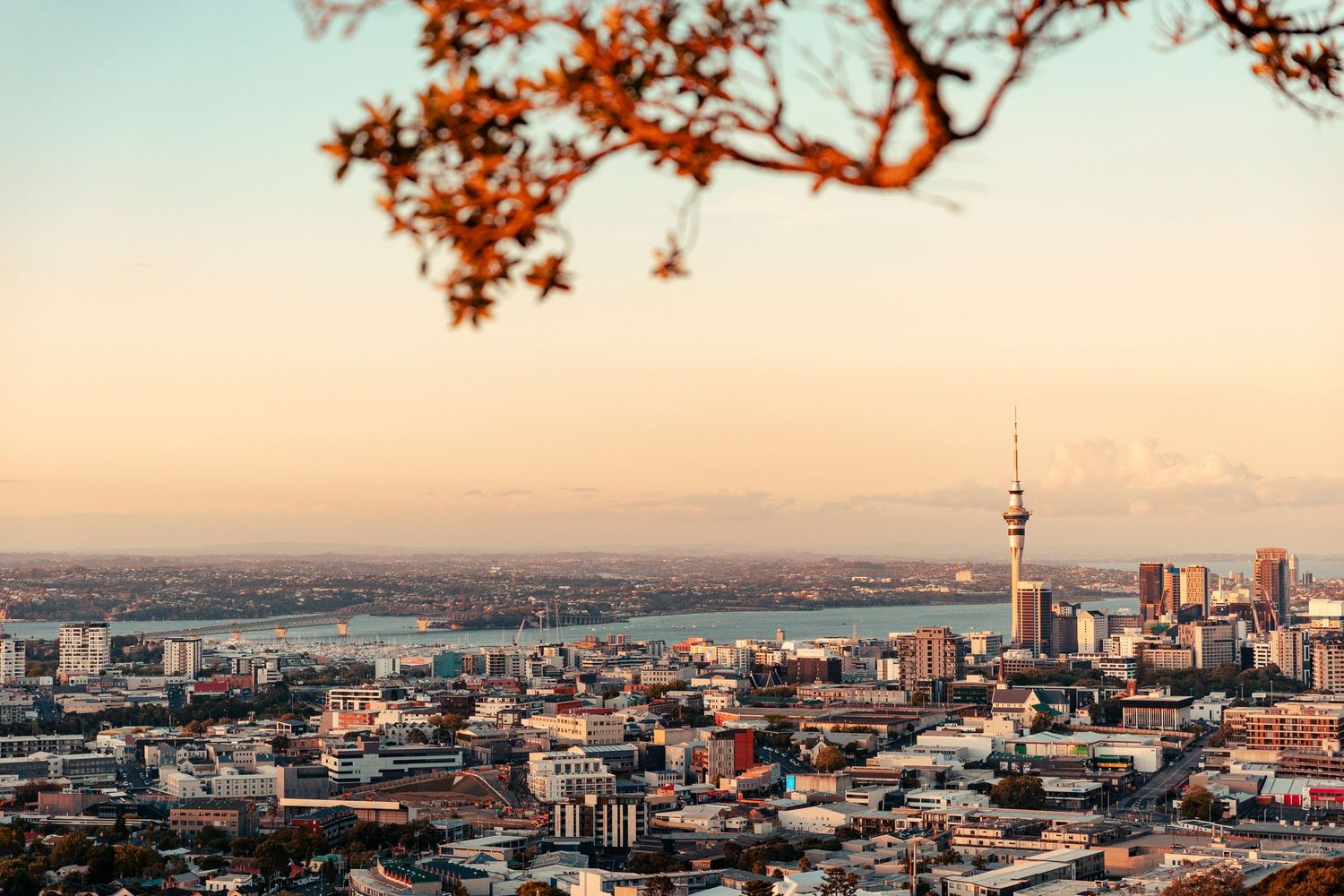 Landscape of Auckland city during sunset