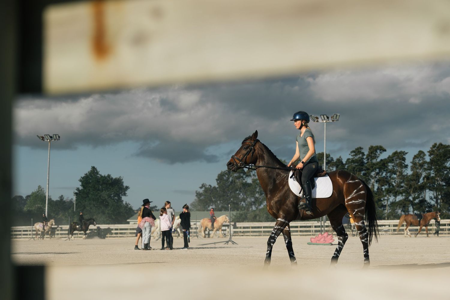 Female equestrian rider on dark horse in sandy arena viewed through wooden fence frame.