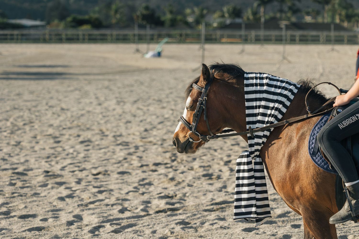 A brown horse wearing a striped blanket is ridden in a sandy arena outdoors.