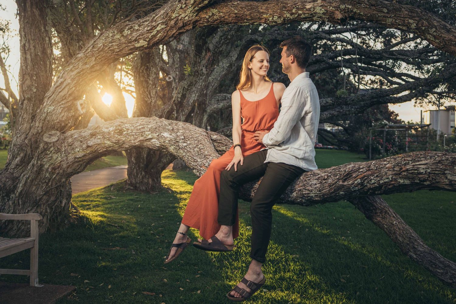 Couple sitting on a large tree branch at sunset in a scenic park.
