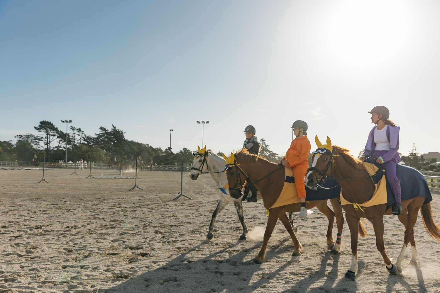 Three equestrian riders on brown horses trotting in a bright sunny sandy riding arena.