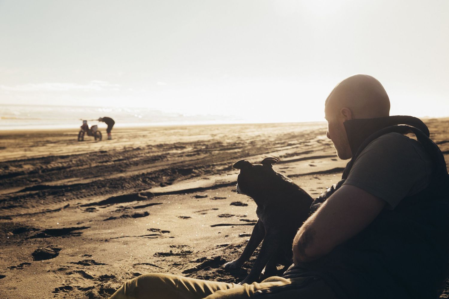Man sits on a sunny beach with his black dog watching horses in the distance.