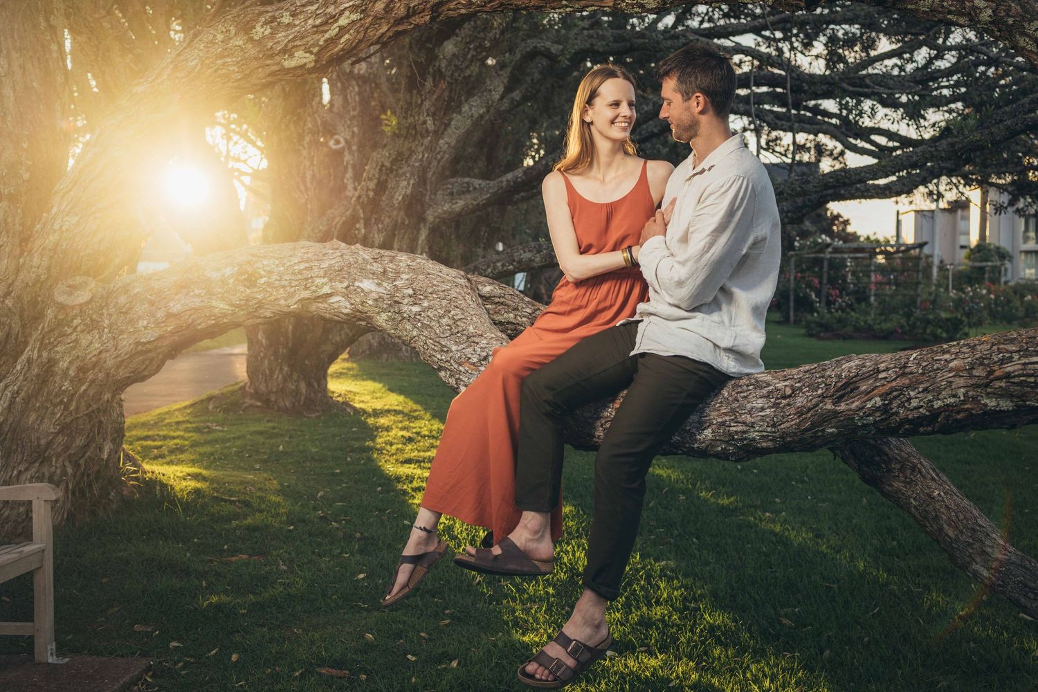 A couple in love sits on a curved tree branch in a sunlit park, woman in a red dress.