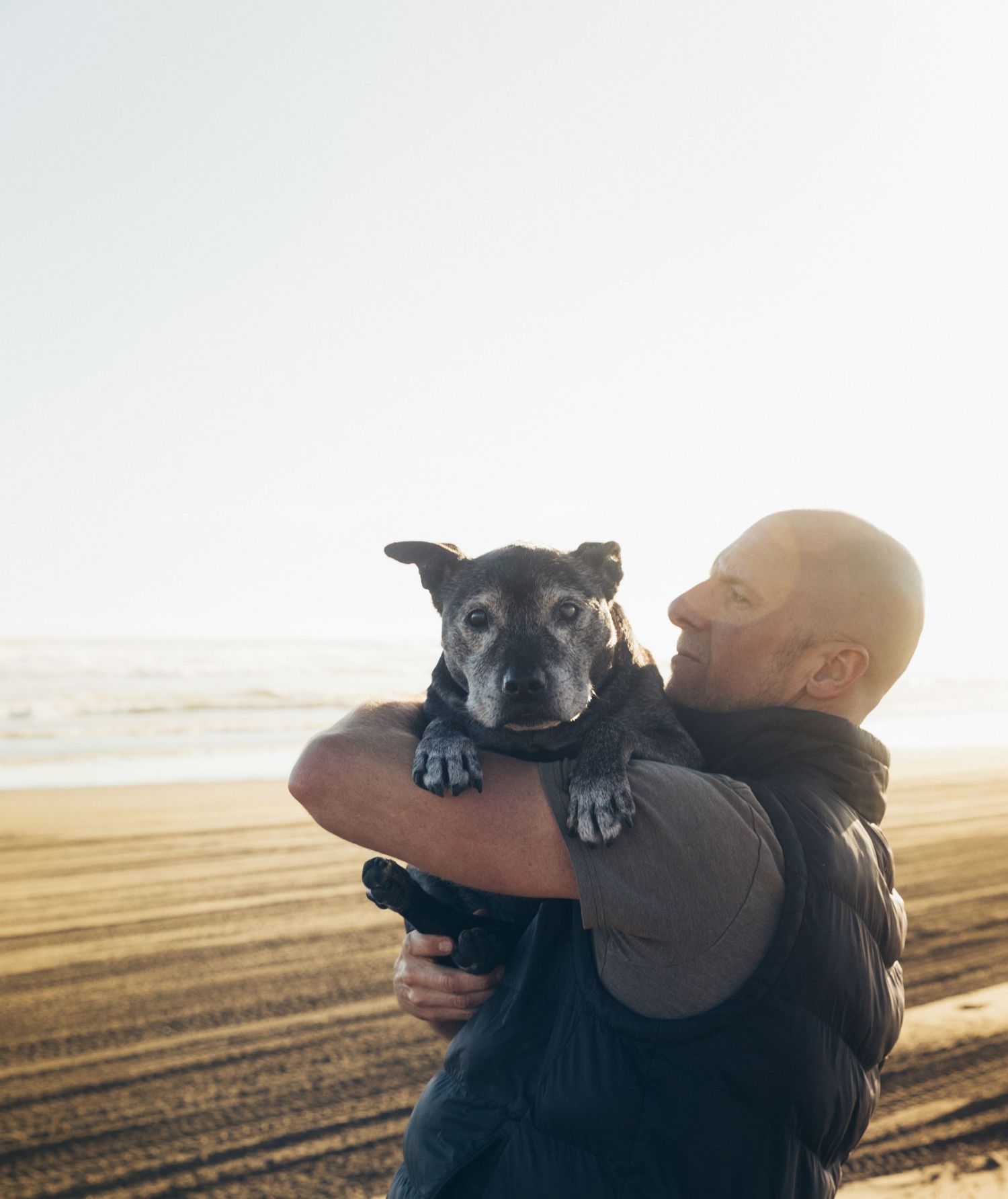 Bald man holds his aging black dog up at a sunny beach, gazing at it lovingly.