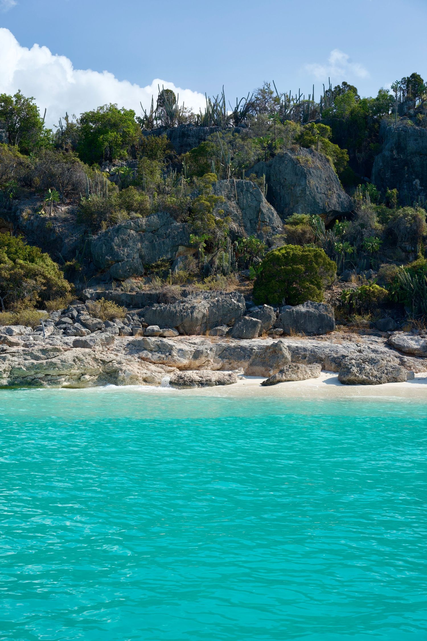 Turquoise Caribbean waters lapping against a rocky shoreline with lush tropical vegetation.