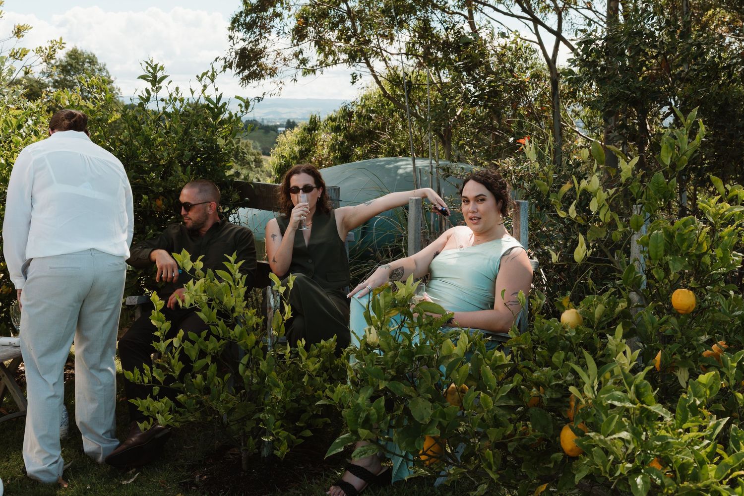 Group of people relaxing among lush green citrus trees in a garden with scenic hills in the background.