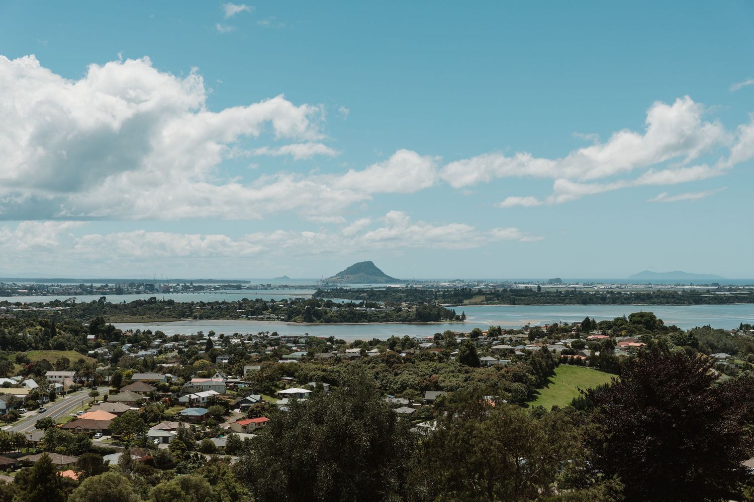 Aerial view of a coastal New Zealand town with lush greenery, calm harbor waters, and a volcanic cone under a blue sky.