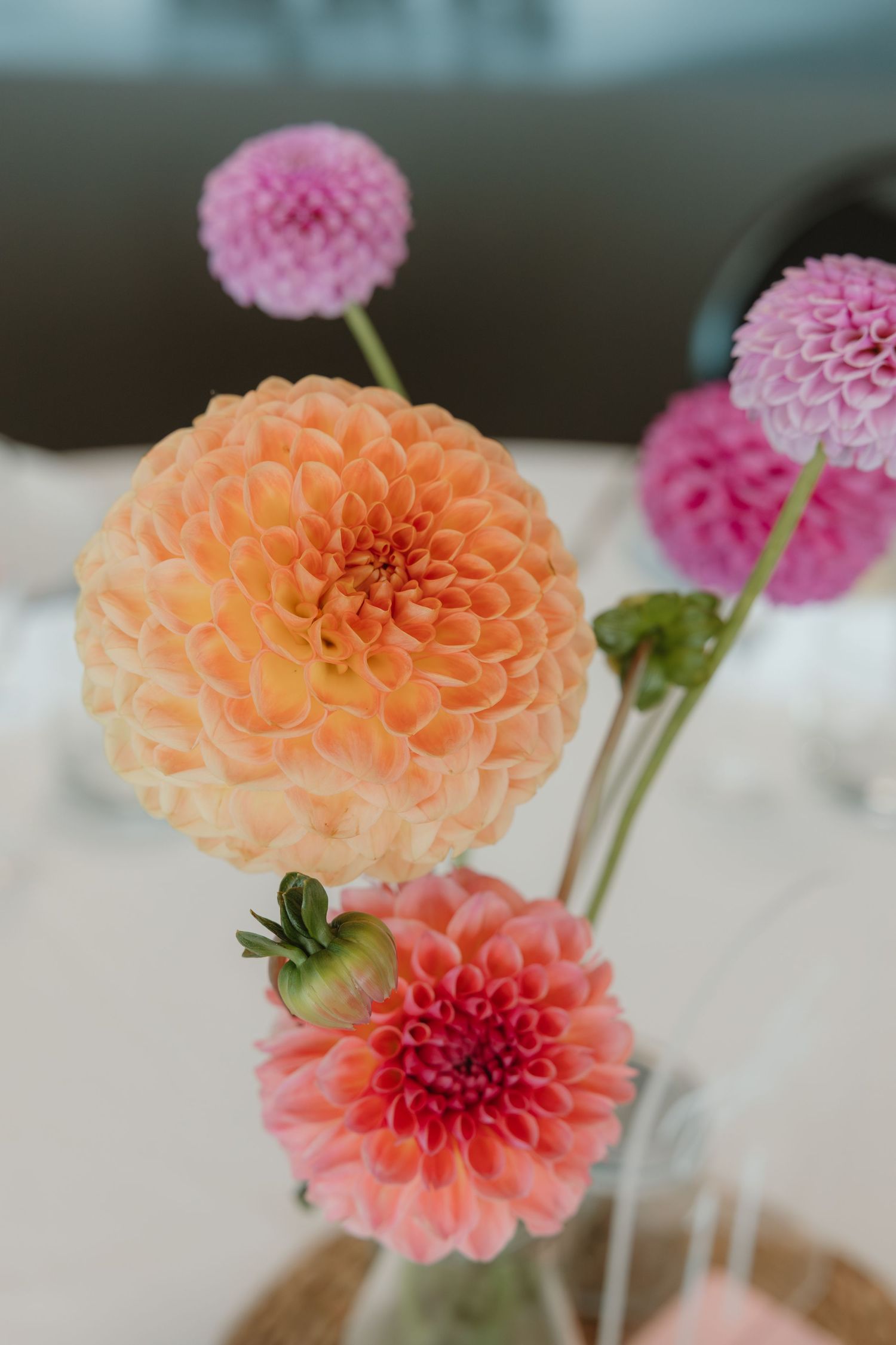 Elegant dahlia flower arrangement featuring peach, pink, and coral blooms in a glass vase centerpiece.