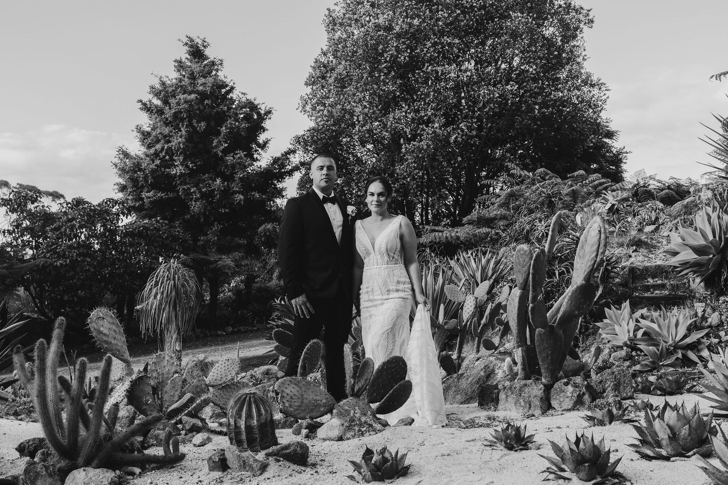 A series of black and white photographs showing desert landscapes with cacti and agave plants in a garden setting.