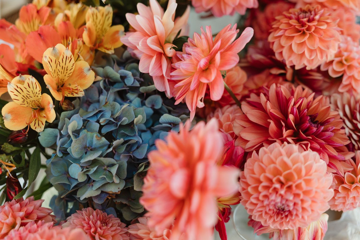 Vibrant bouquet of colorful flowers including pink dahlias, blue hydrangeas, and orange alstroemeria in full bloom.