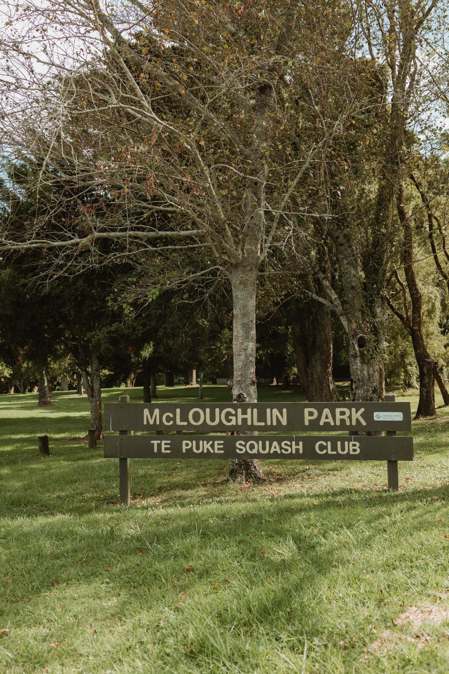 Wooden sign for McLoughlin Park and Te Puke Squash Club surrounded by lush green grass and mature trees.