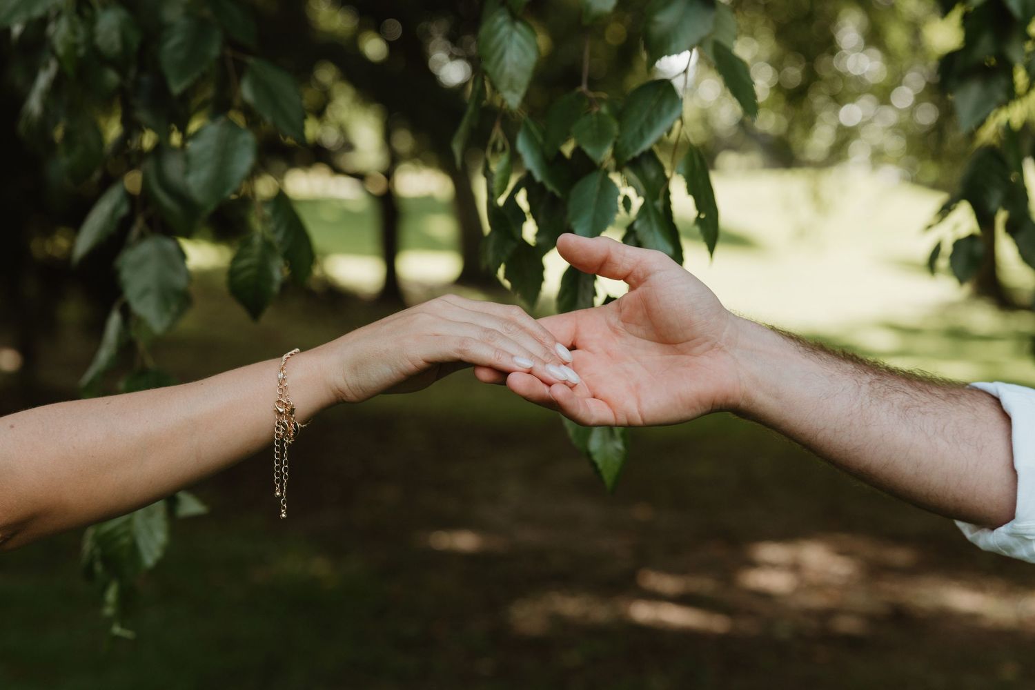 Two hands gently touching fingertips in a lush green park, woman wearing a gold bracelet and engagement ring.