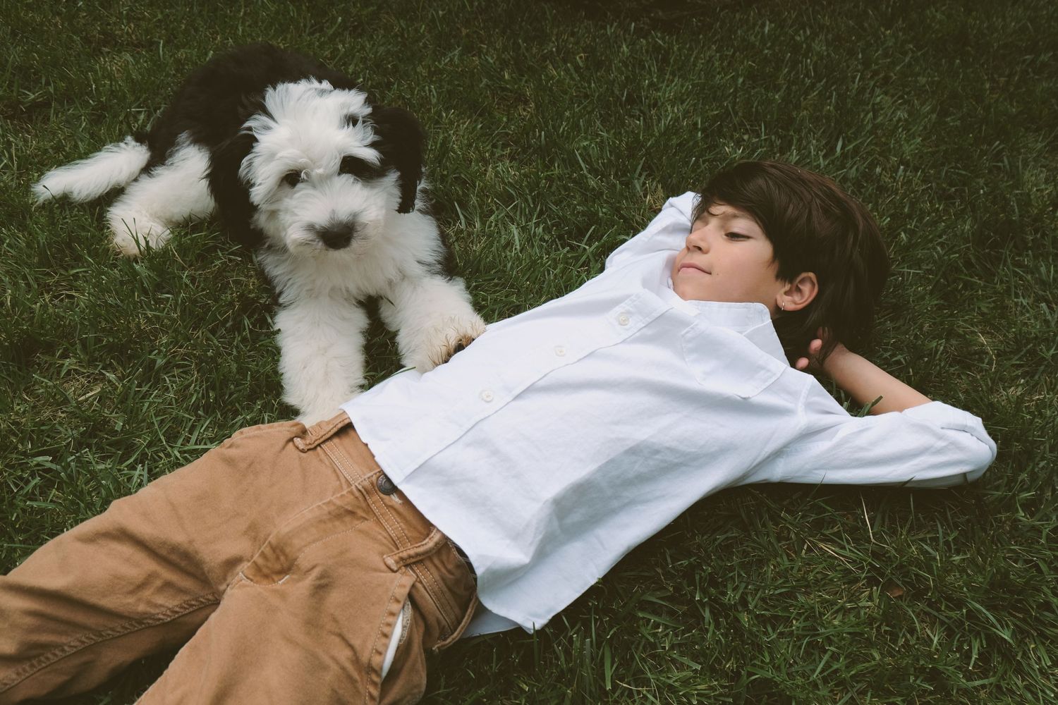 A white fluffy dog lies on the grass next to someone relaxing outdoors.