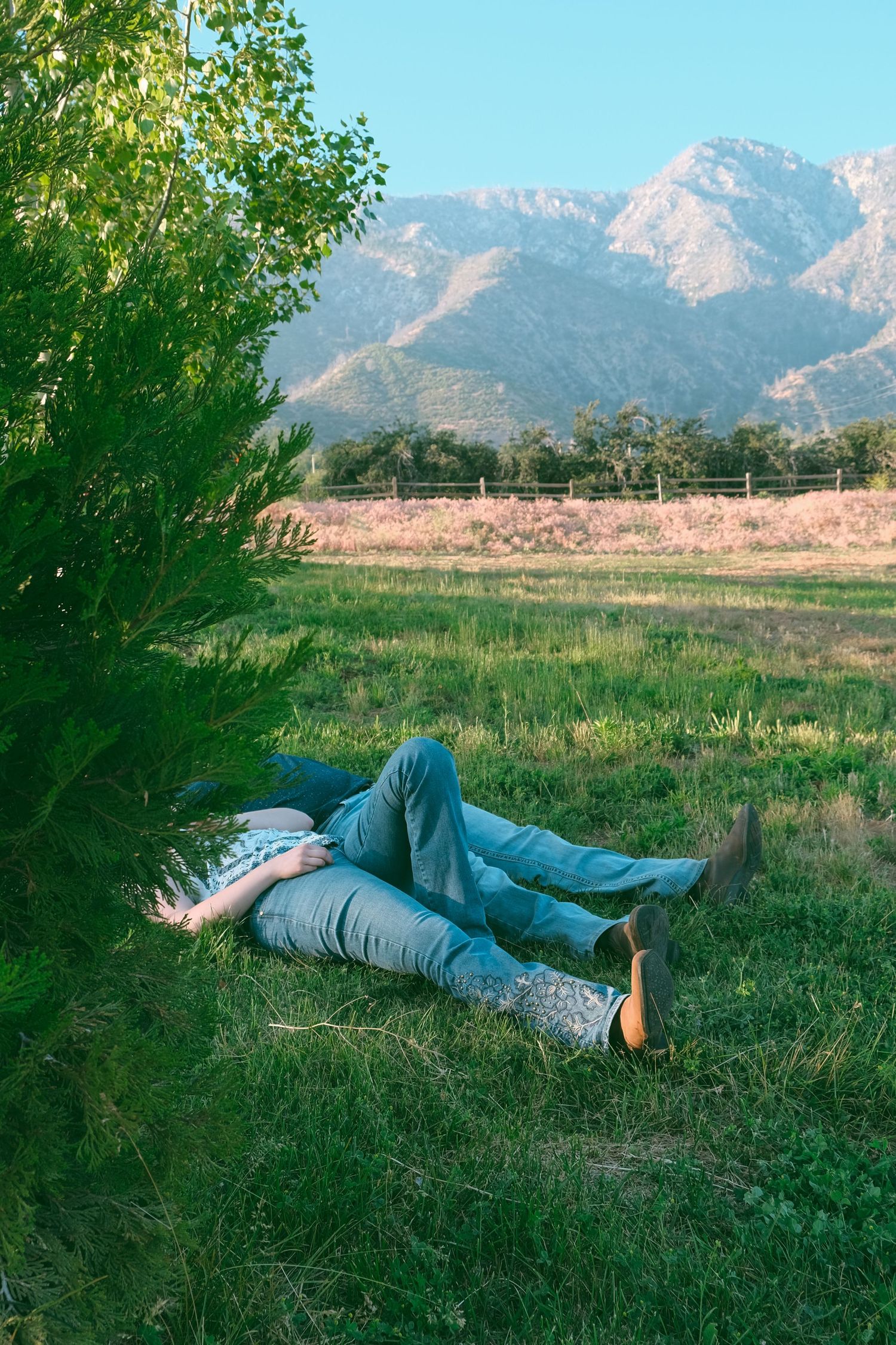 Person relaxing in field with mountains and trees in background during golden hour.