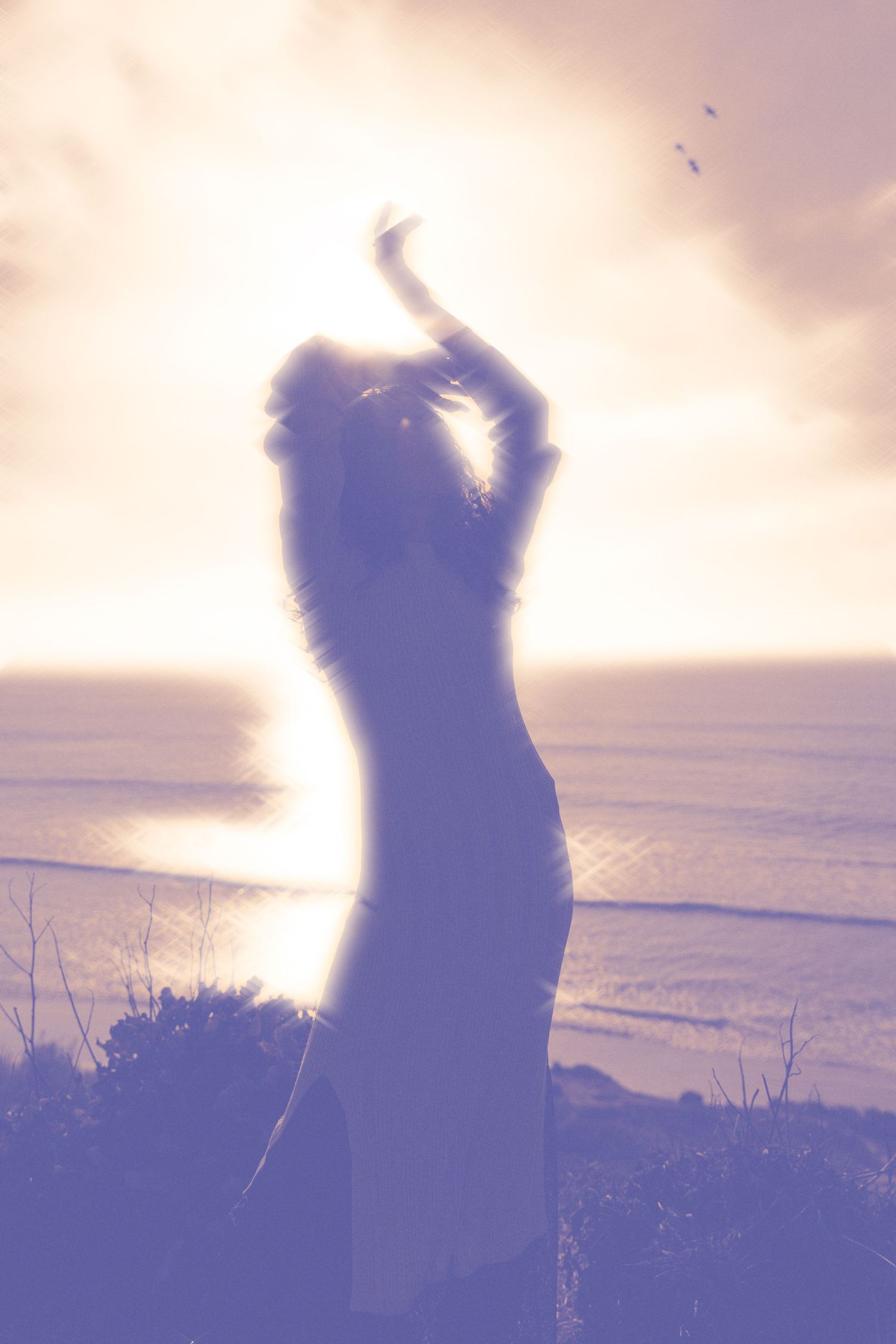 Silhouettes against sunset sky creating dreamy atmospheric effect.