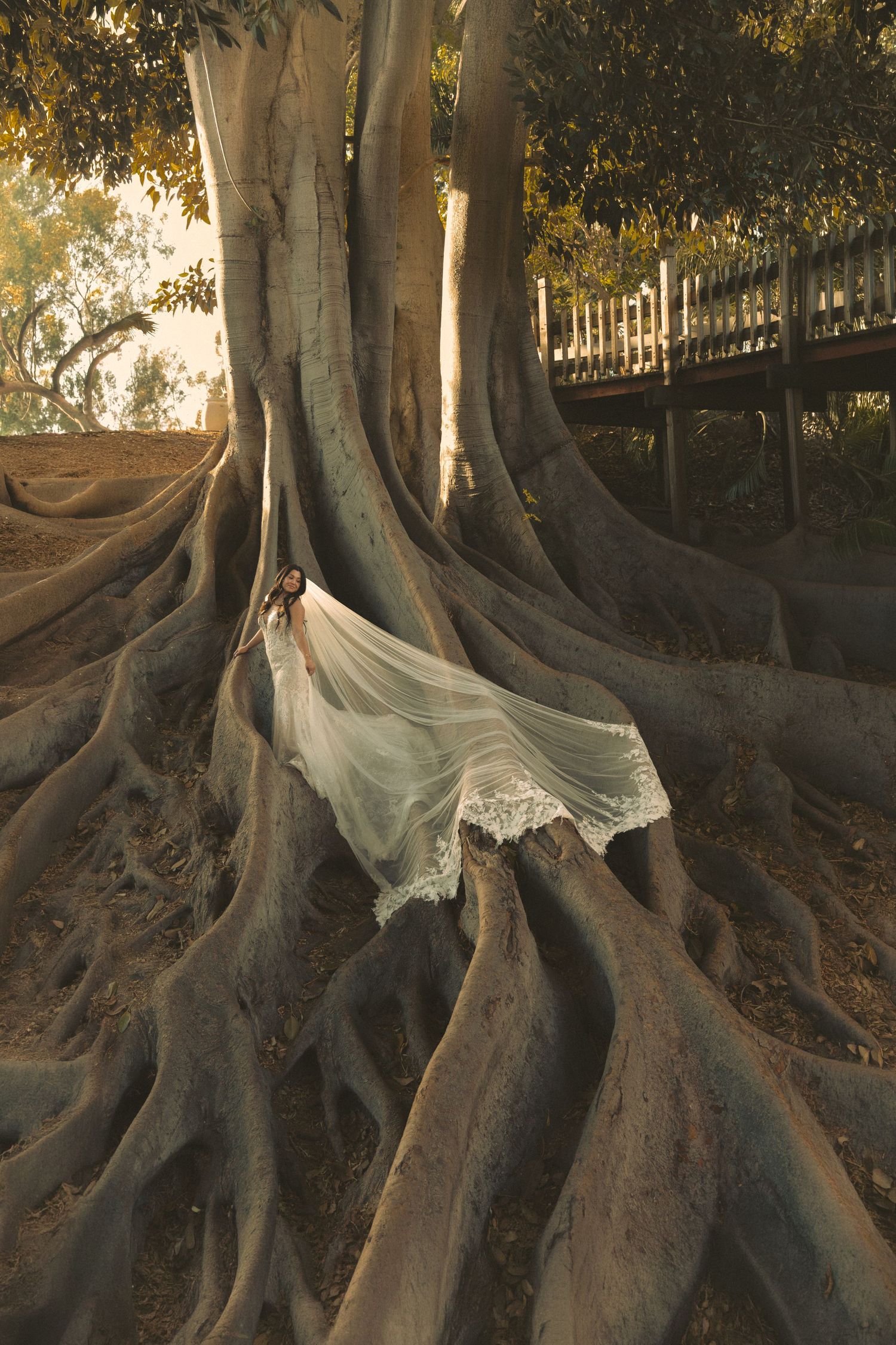 Dreamy bridal portraits with a flowing wedding dress, natural scenery and romantic, editorial-style Southern California wedding photography