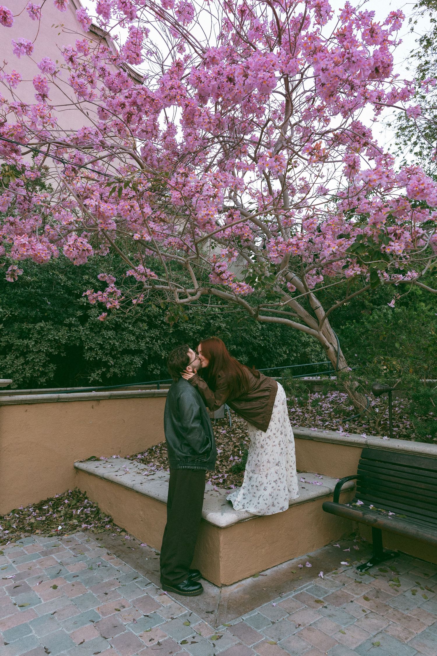 Couple sharing tender moment beneath blooming pink cherry blossom tree.