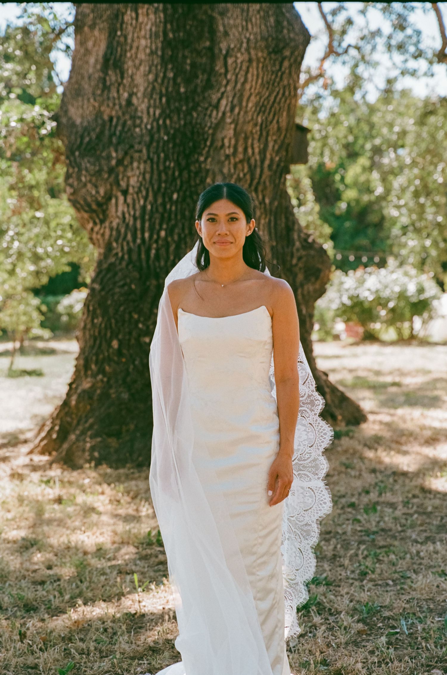 Wedding photography San Diego featuring a bride in her wedding dress posing beneath a large tree