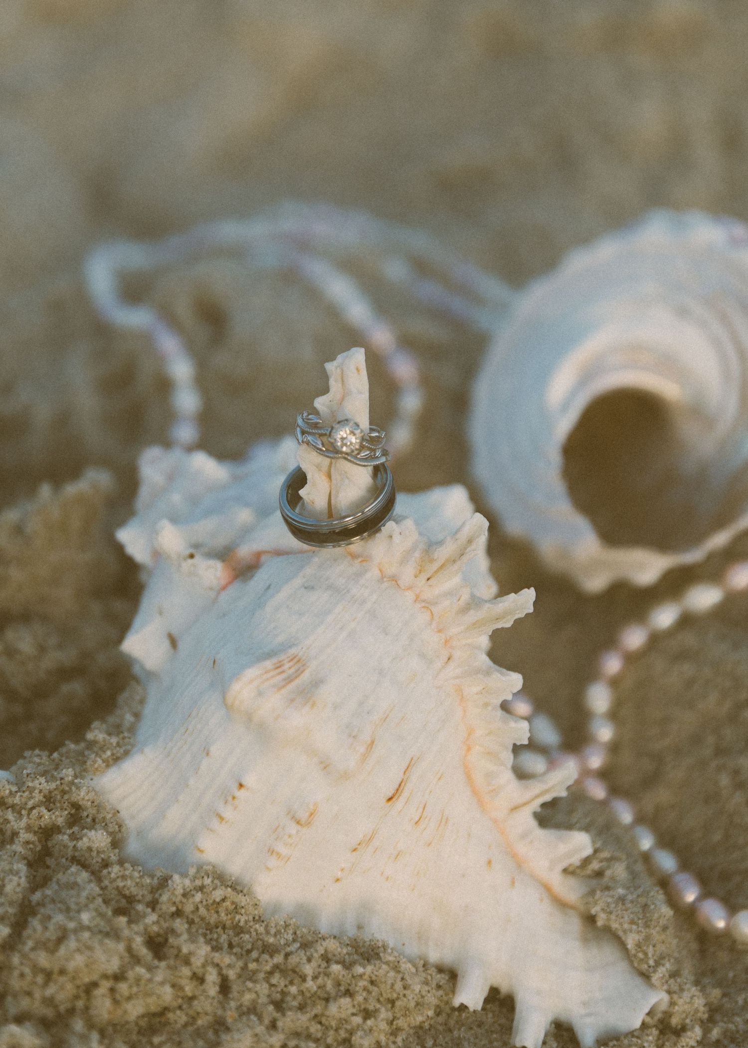 Wedding rings displayed on a white conch shell in sand with pearl necklace, beach wedding jewelry detail photo.