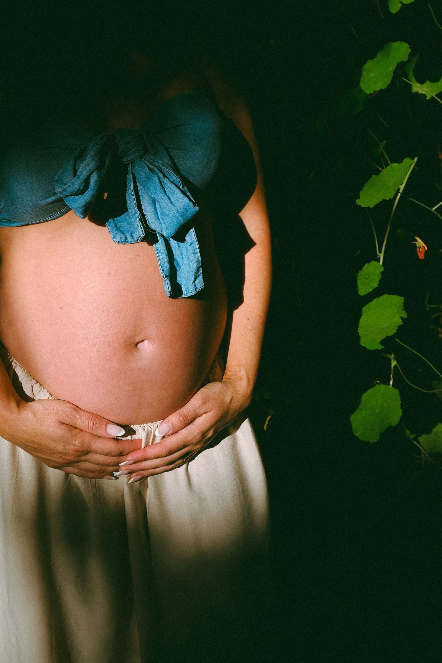 Close-up artistic shot of a pregnant belly in moody lighting with green leaves in background.