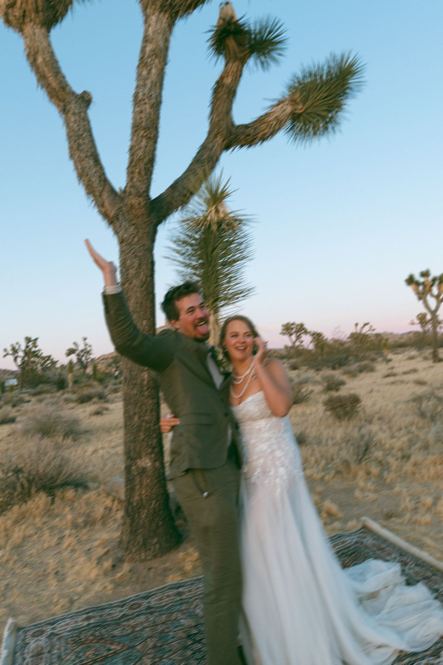 Bride and groom celebrating at sunset near a Joshua tree in the desert, wearing wedding attire.
