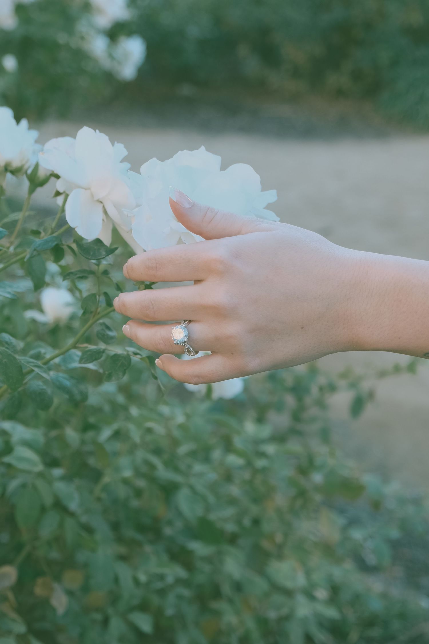 Close-up shots of a hand displaying an engagement ring against green foliage.