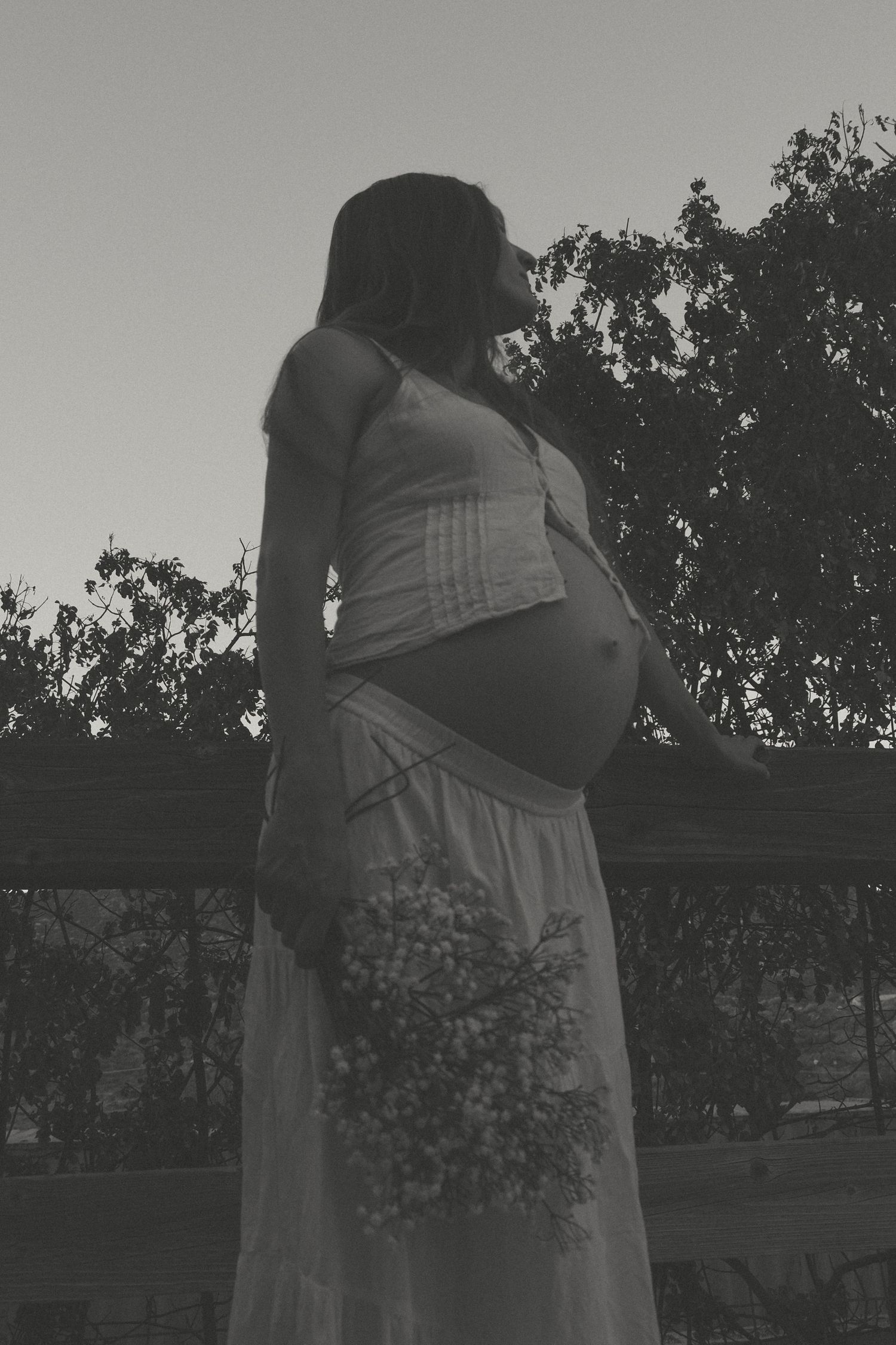 A black and white maternity silhouette with baby's breath flowers in natural light.