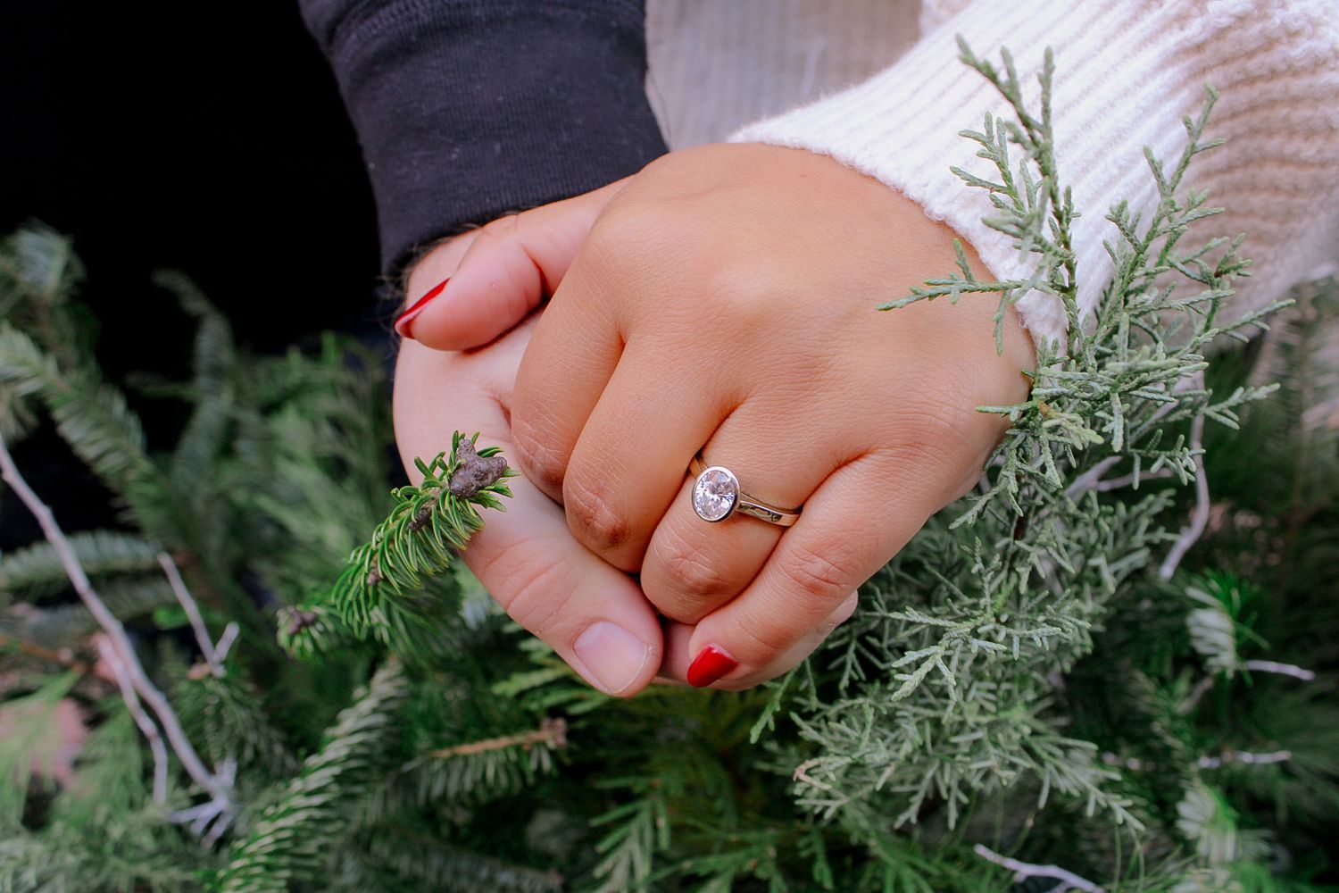Close-up of hands with red nail polish and an engagement ring resting on evergreen branches.