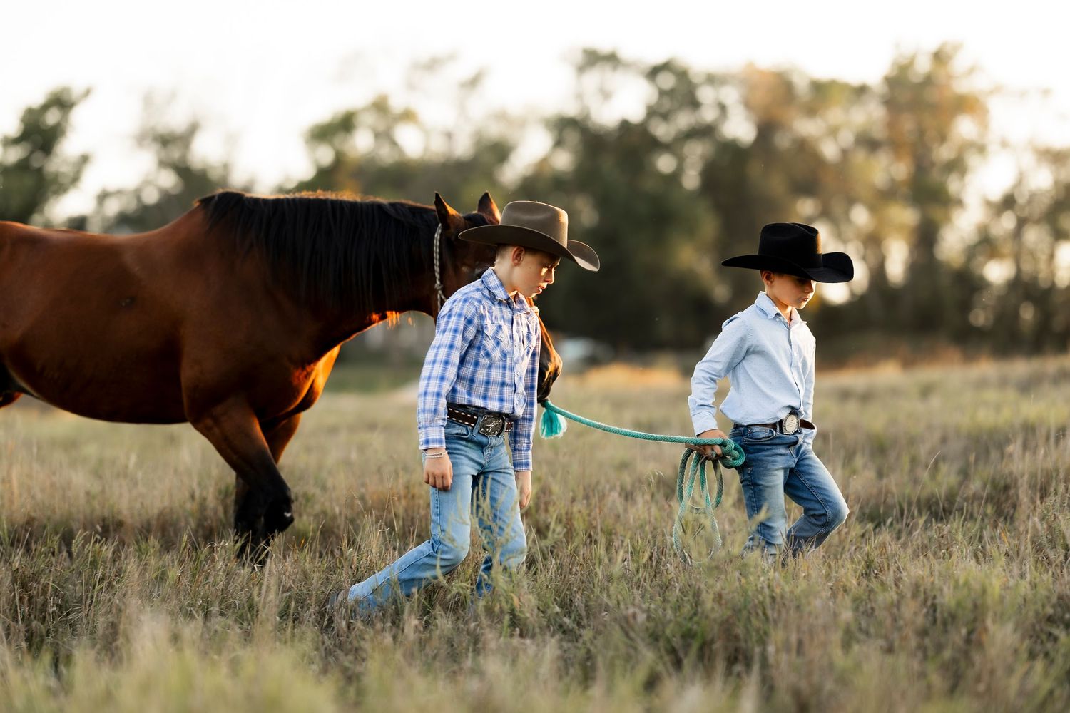 Brenny Family - Willey, Iowa
