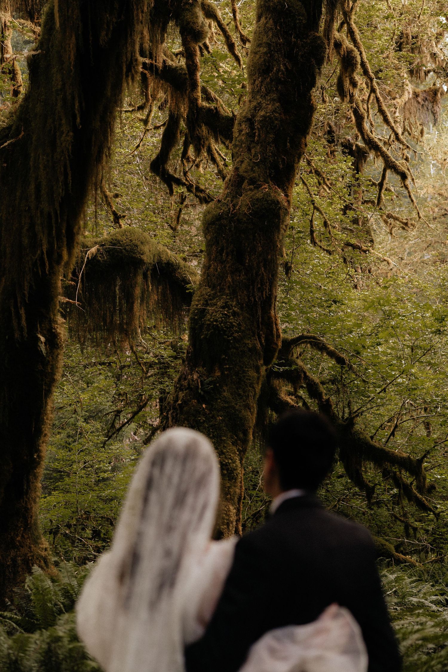 A bride and groom stand before a moss-covered ancient tree in a lush, enchanting forest wedding setting.