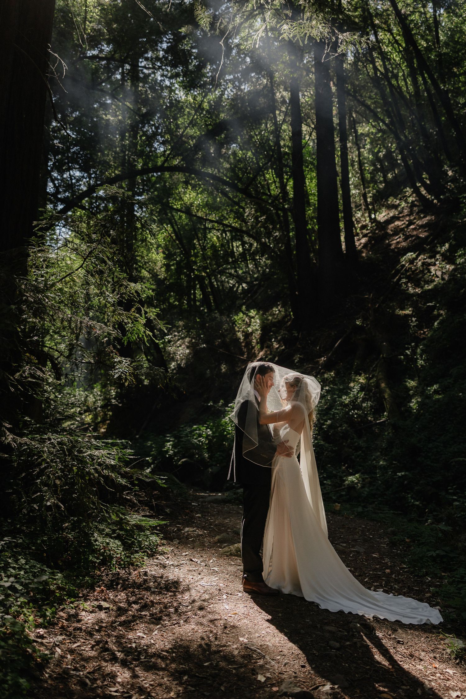 A series of ethereal woodland wedding photos showing sunlit forest paths with flowing white gown silhouettes in dappled light.